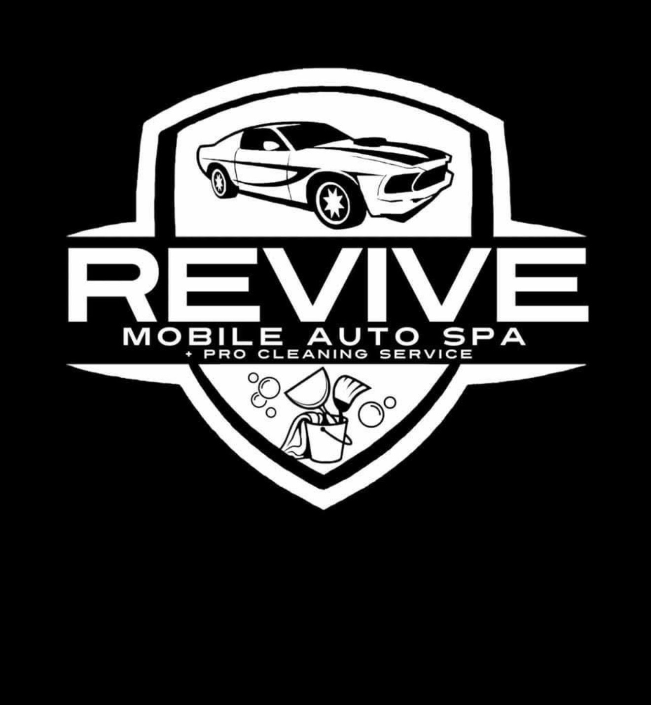 Revive Car and Pro Cleaning